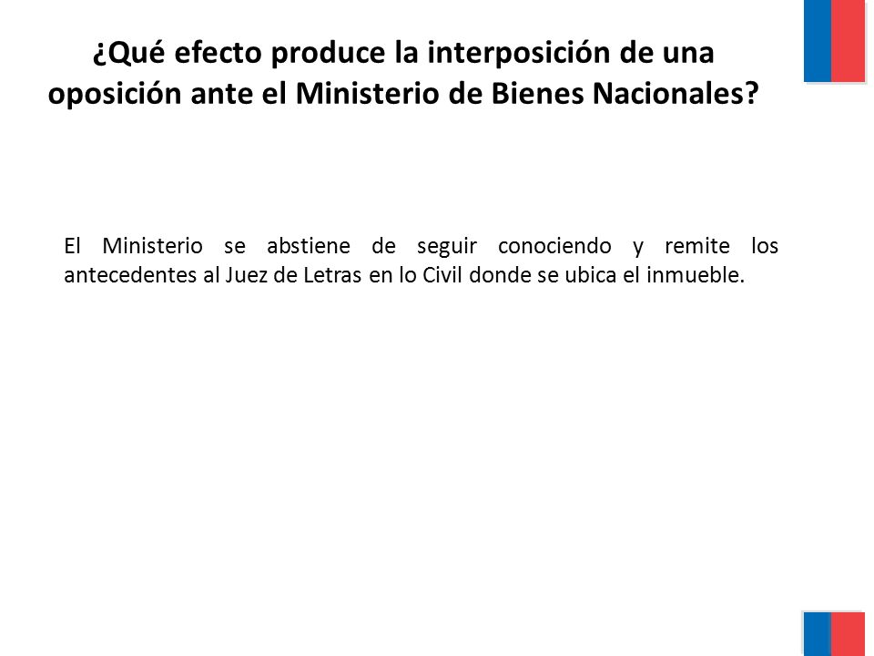 ¿Qué efecto produce la interposición de una oposición ante el Ministerio de Bienes Nacionales