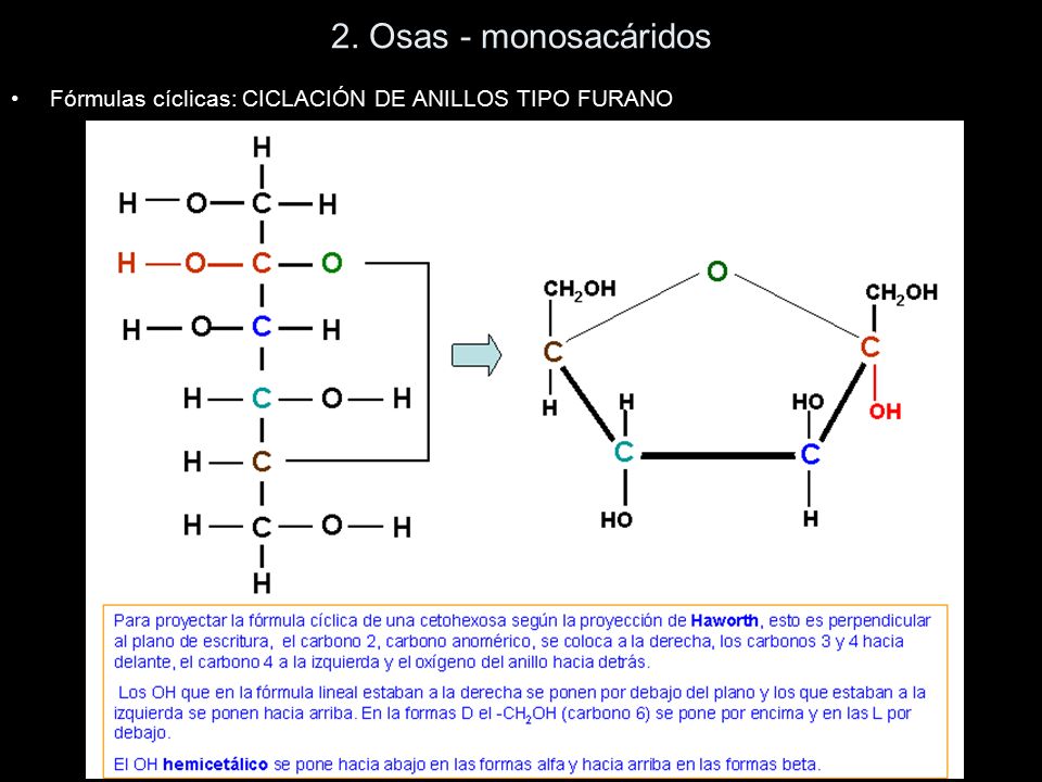 2. Osas - monosacáridos Fórmulas cíclicas: CICLACIÓN DE ANILLOS TIPO FURANO
