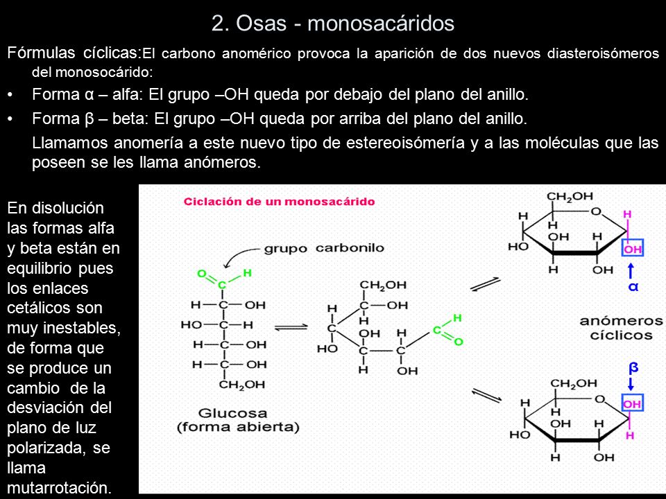 2. Osas - monosacáridos Fórmulas cíclicas:El carbono anomérico provoca la aparición de dos nuevos diasteroisómeros del monosocárido: