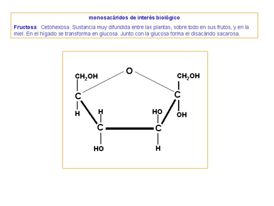 2. Osas - monosacáridos HEXOSAS. Forman estructuras cíclicas.