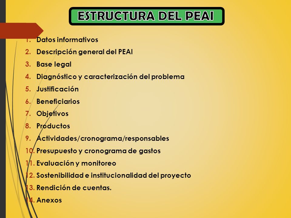 ESTRUCTURA DEL PEAI Datos informativos Descripción general del PEAI