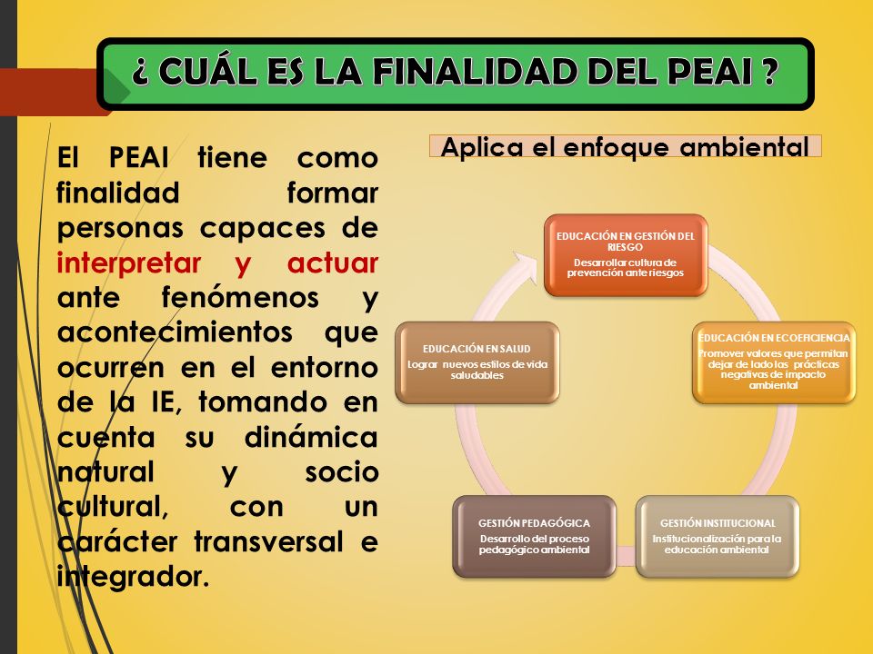 ¿ CUÁL ES LA FINALIDAD DEL PEAI Aplica el enfoque ambiental