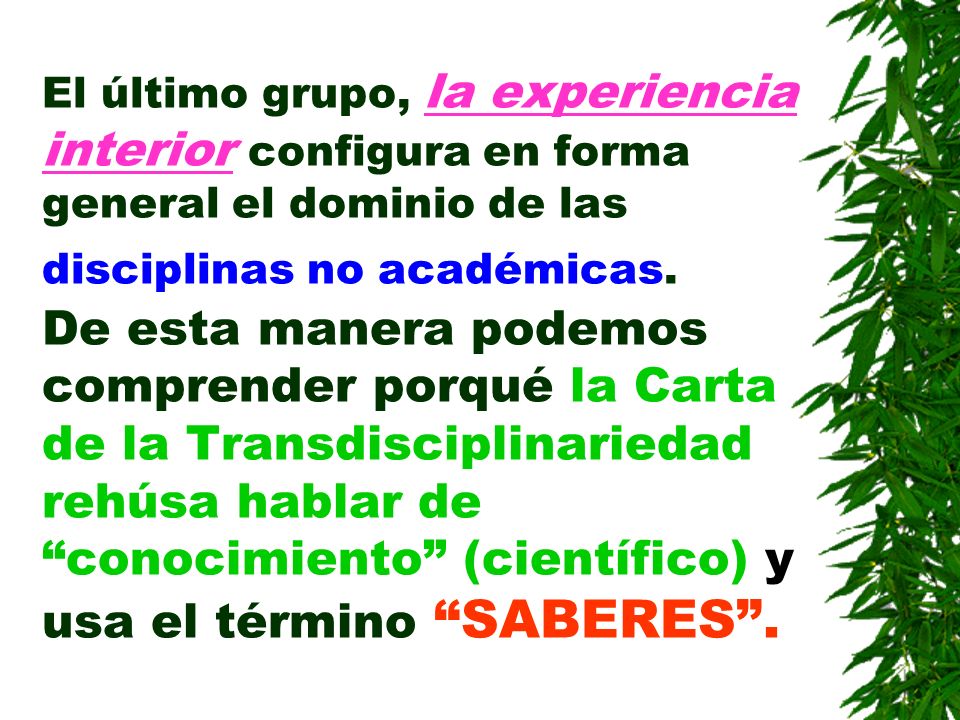 El último grupo, la experiencia interior configura en forma general el dominio de las disciplinas no académicas.