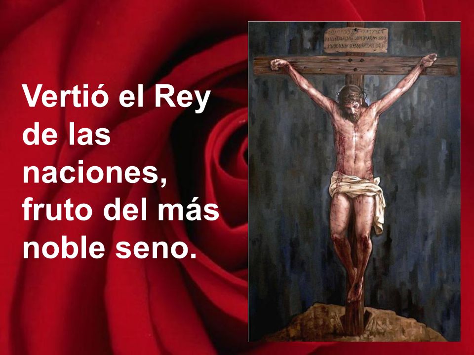 Vertió el Rey de las naciones, fruto del más noble seno.