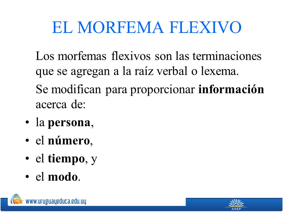 EL MORFEMA FLEXIVO Los morfemas flexivos son las terminaciones que se agregan a la raíz verbal o lexema.