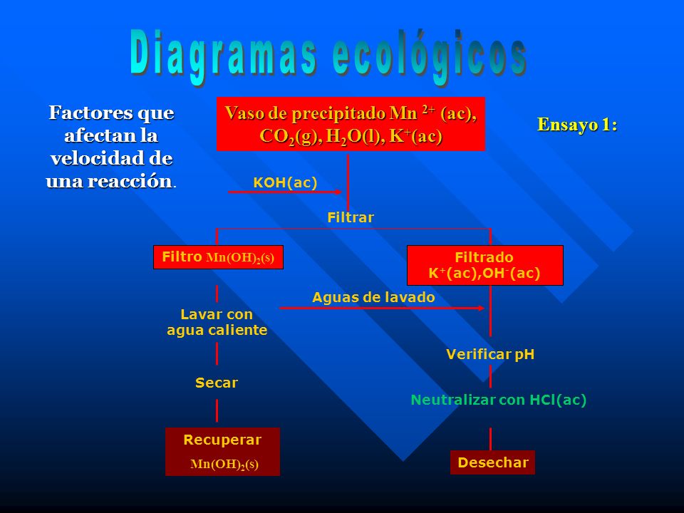 Diagramas ecológicos Factores que afectan la velocidad de una reacción. Vaso de precipitado Mn 2+ (ac), CO2(g), H2O(l), K+(ac)