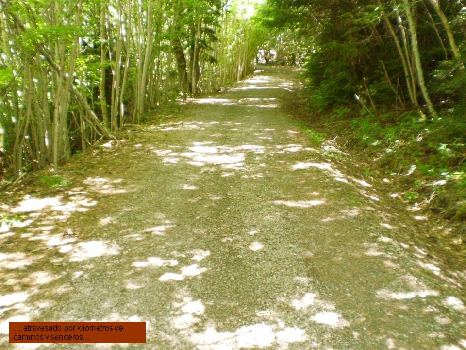 … atravesado por kilómetros de caminos y senderos …