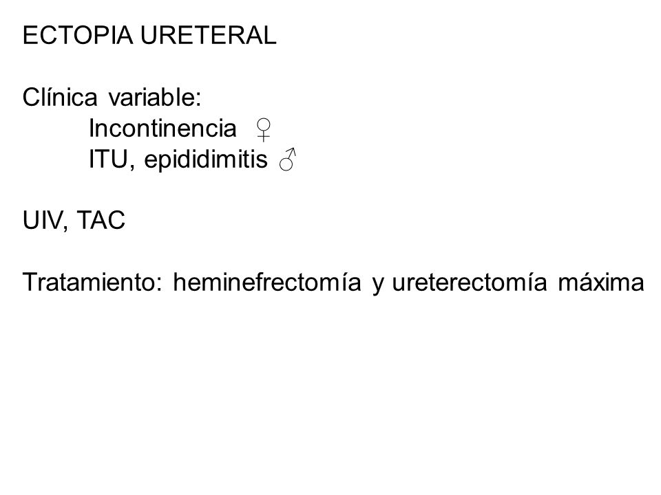 ECTOPIA URETERAL Clínica variable: Incontinencia ♀ ITU, epididimitis ♂ UIV, TAC.