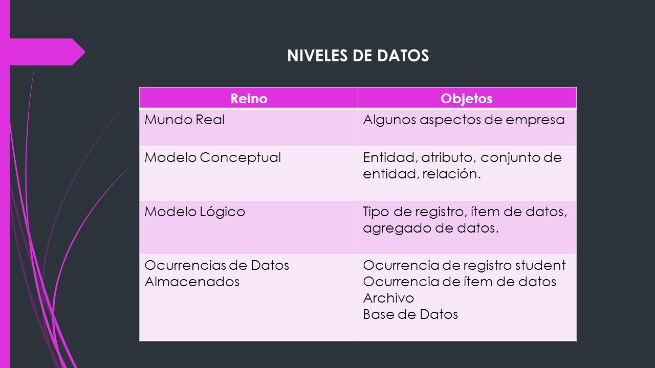 NIVELES DE DATOS Reino Objetos Mundo Real Algunos aspectos de empresa