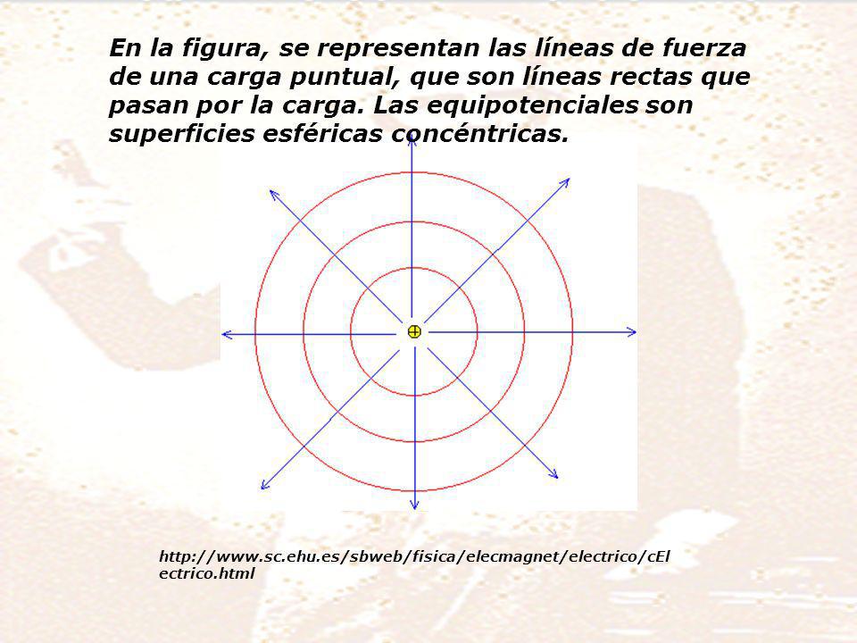 En la figura, se representan las líneas de fuerza de una carga puntual, que son líneas rectas que pasan por la carga. Las equipotenciales son superficies esféricas concéntricas.