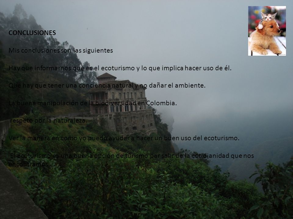 CONCLUSIONES Mis conclusiones son las siguientes. Hay que informarnos que es el ecoturismo y lo que implica hacer uso de él.