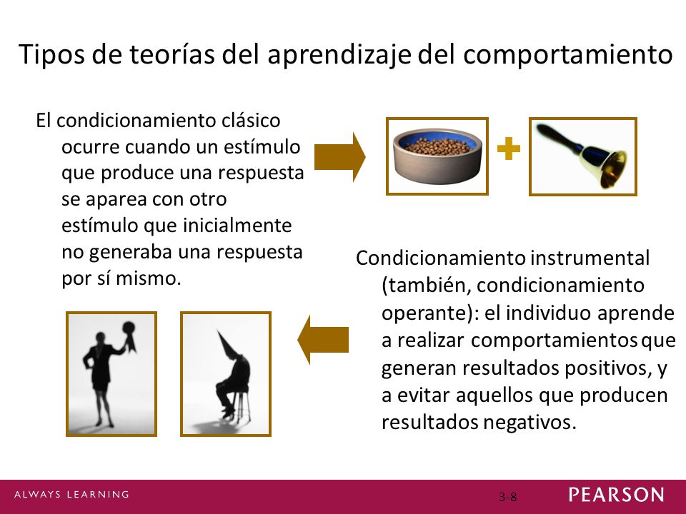 Tipos de teorías del aprendizaje del comportamiento