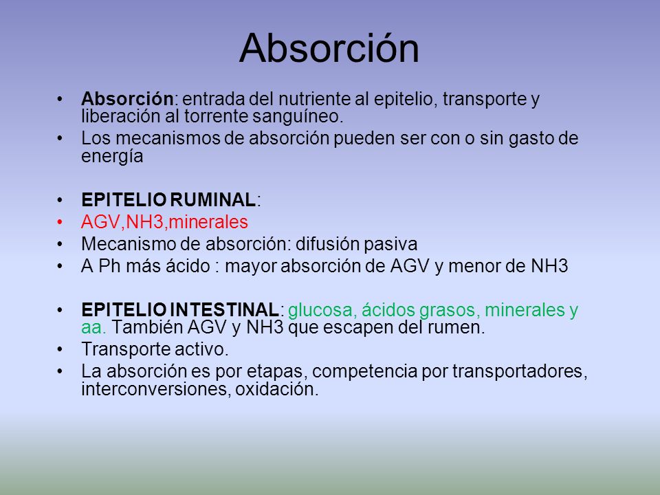 Absorción Absorción: entrada del nutriente al epitelio, transporte y liberación al torrente sanguíneo.