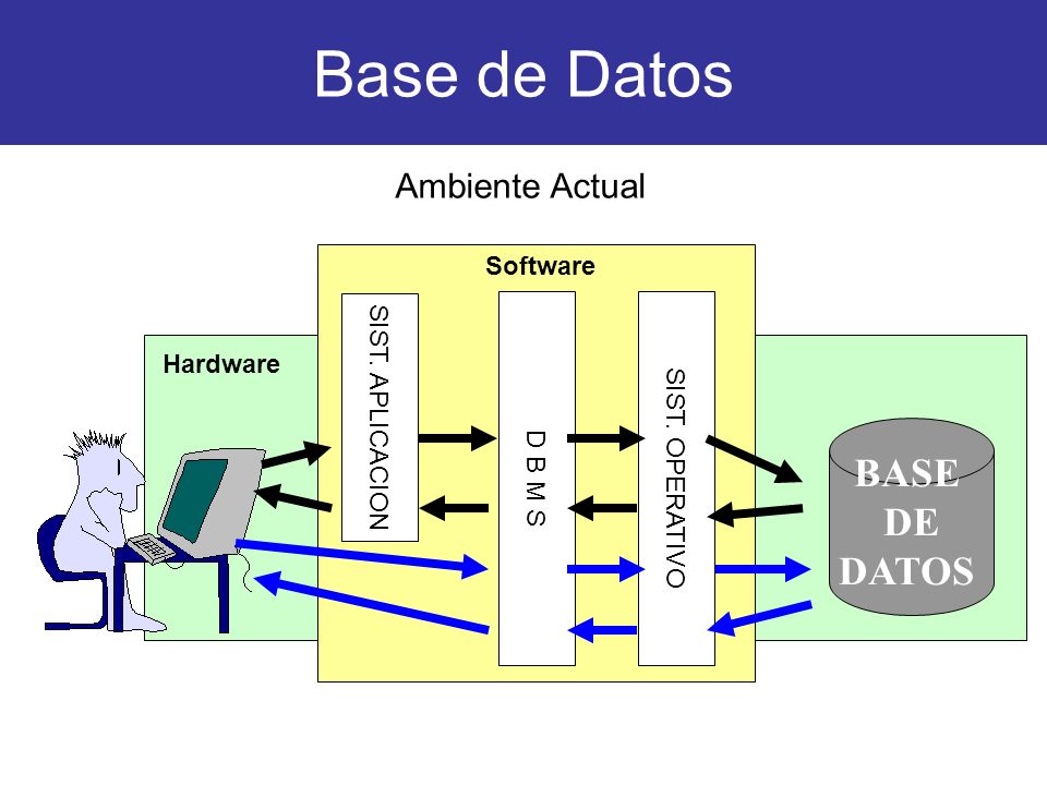 Base de Datos BASE DE DATOS Ambiente Actual Software SIST. APLICACION