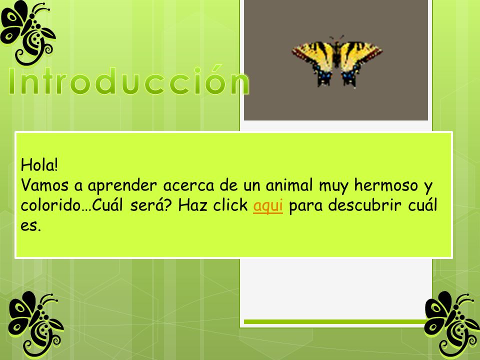 Introducción Hola! Vamos a aprender acerca de un animal muy hermoso y