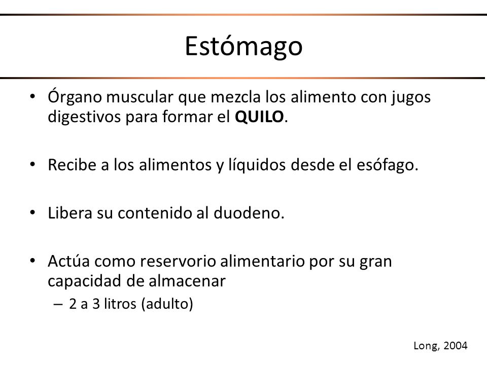 Estómago Órgano muscular que mezcla los alimento con jugos digestivos para formar el QUILO. Recibe a los alimentos y líquidos desde el esófago.