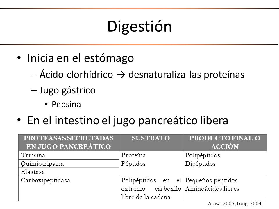 PROTEASAS SECRETADAS EN JUGO PANCREÁTICO Producto final o acción