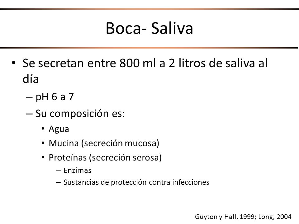 Boca- Saliva Se secretan entre 800 ml a 2 litros de saliva al día