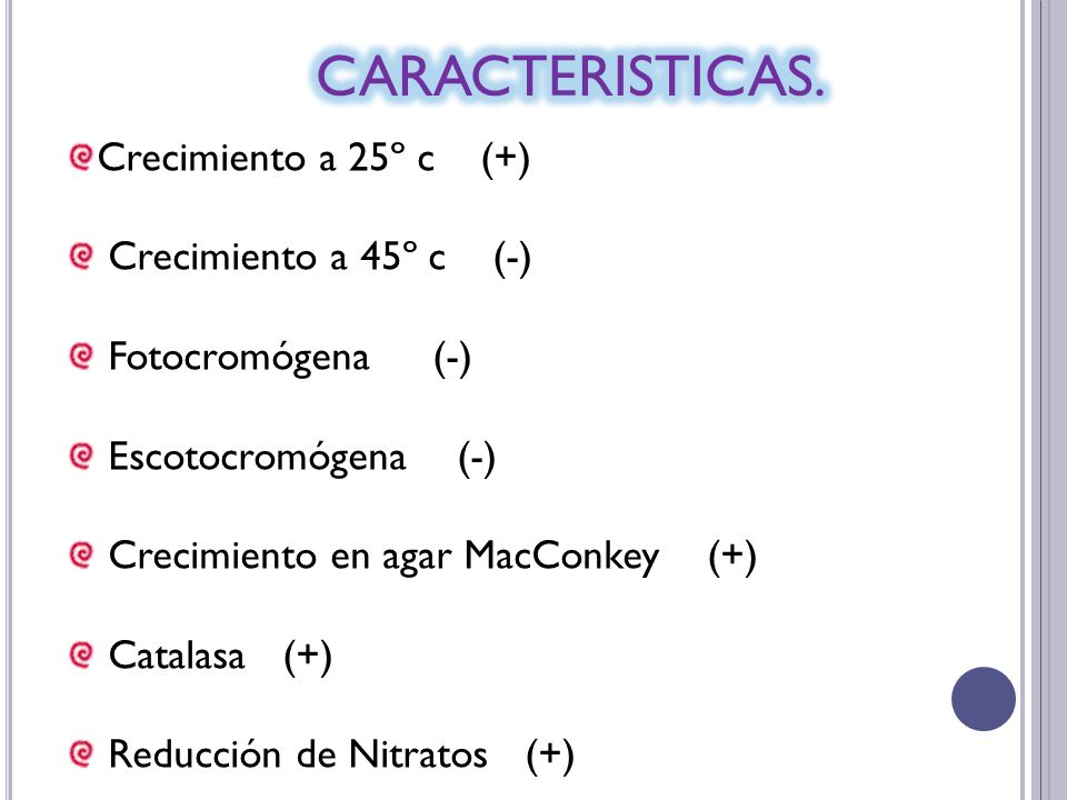CARACTERISTICAS. Crecimiento a 25º c (+) Crecimiento a 45º c (-)