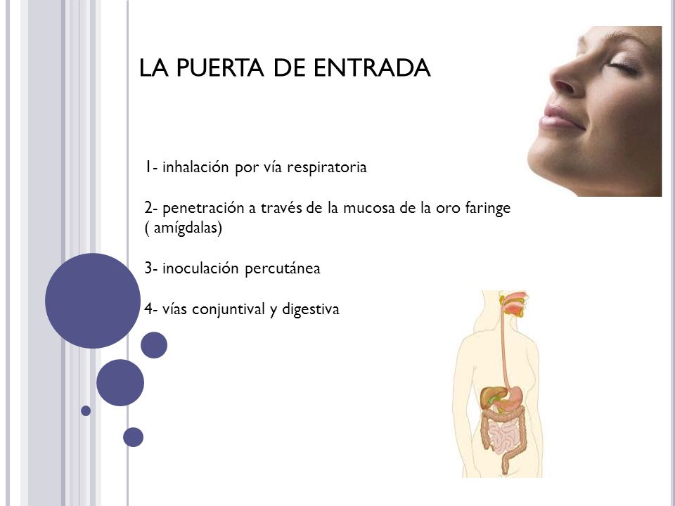 LA PUERTA DE ENTRADA 1- inhalación por vía respiratoria