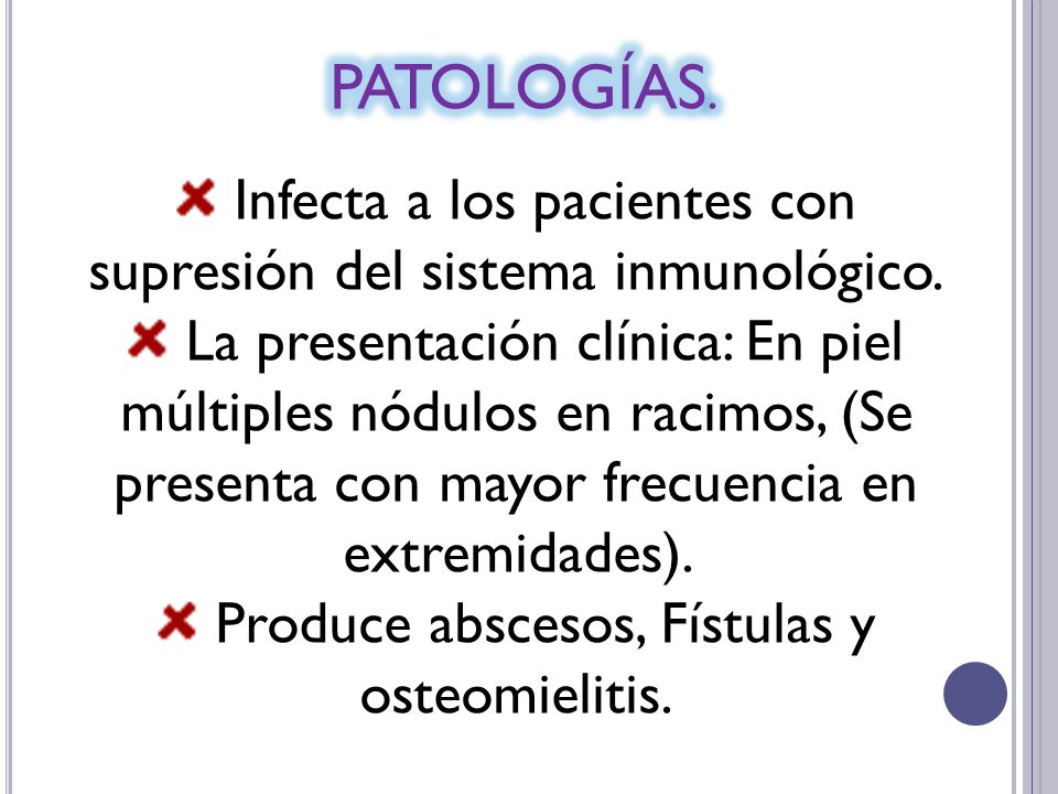 PATOLOGÍAS. Infecta a los pacientes con supresión del sistema inmunológico.