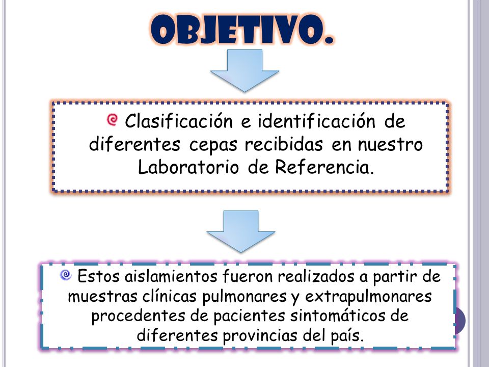 OBJETIVO. Clasificación e identificación de diferentes cepas recibidas en nuestro Laboratorio de Referencia.