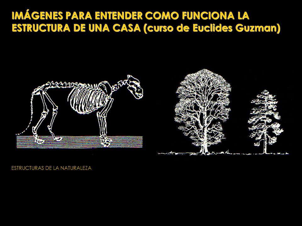 IMÁGENES PARA ENTENDER COMO FUNCIONA LA ESTRUCTURA DE UNA CASA (curso de Euclides Guzman)