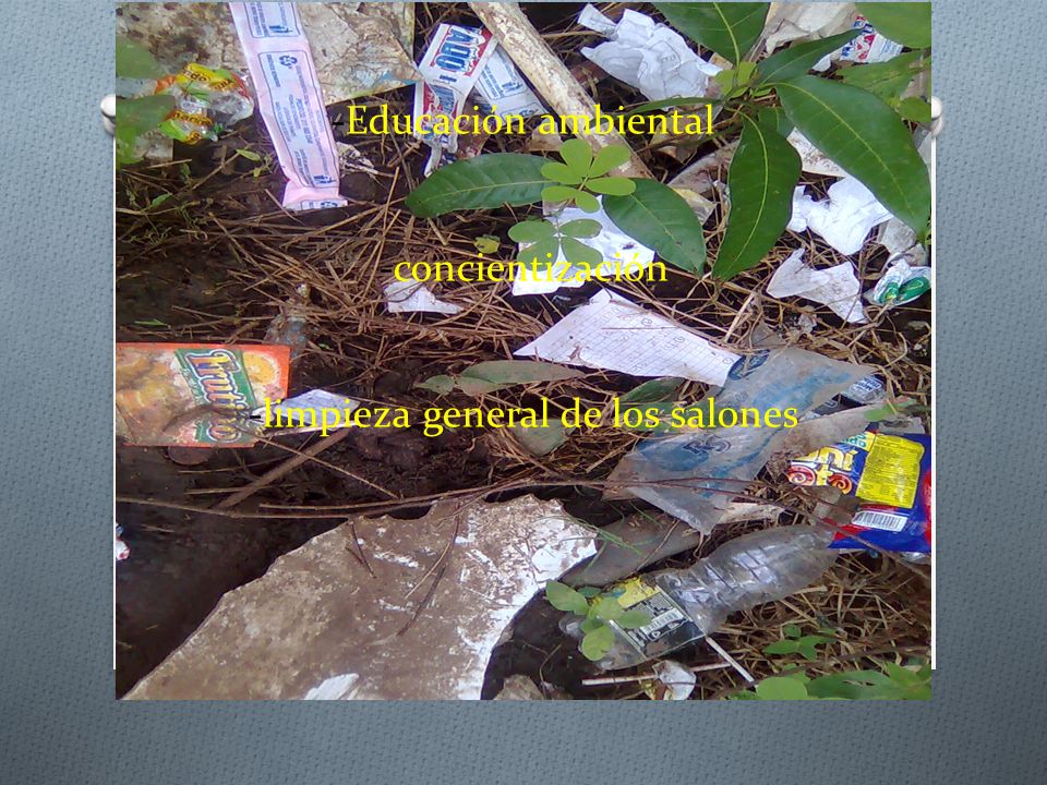 1.2_PALABRAS CLAVES -Reducción de basura -Educación ambiental -concientización -limpieza general de los salones -