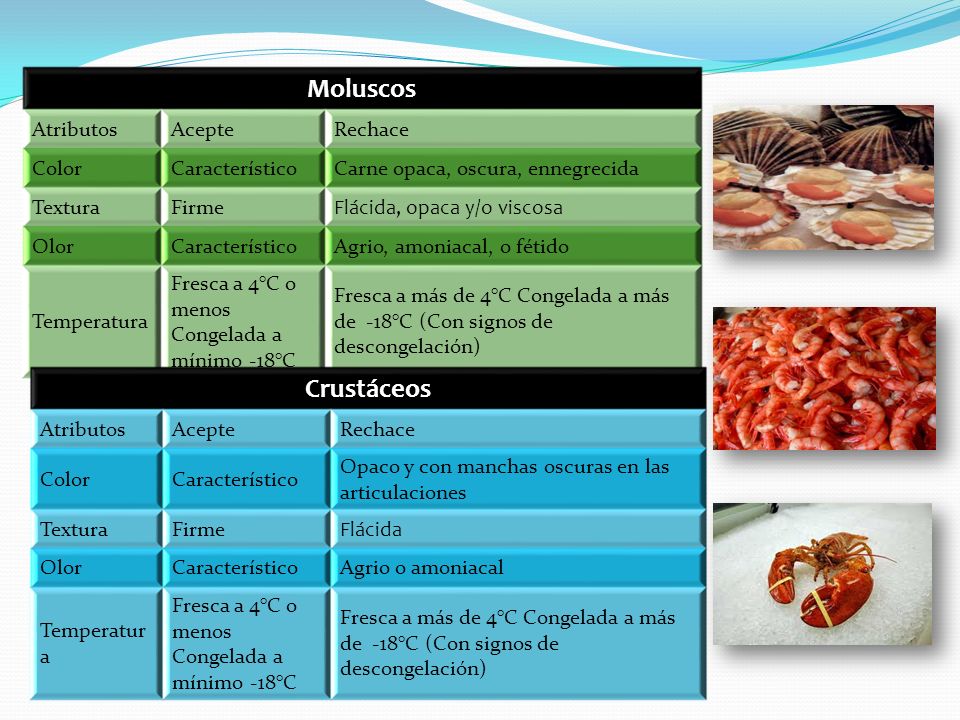 Moluscos Crustáceos Atributos Acepte Rechace Color Característico