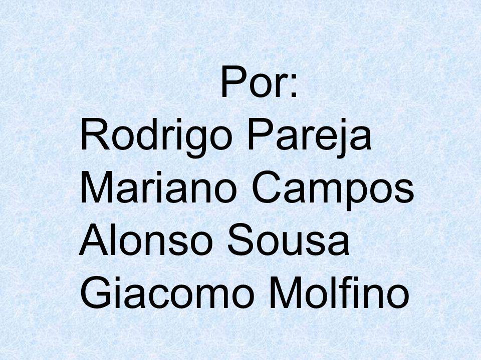 Por: Rodrigo Pareja Mariano Campos Alonso Sousa Giacomo Molfino