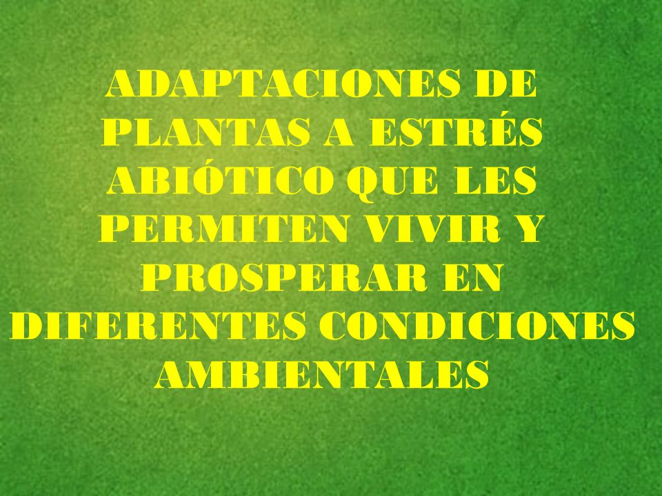 ADAPTACIONES DE PLANTAS A ESTRÉS ABIÓTICO QUE LES PERMITEN VIVIR Y PROSPERAR EN DIFERENTES CONDICIONES AMBIENTALES