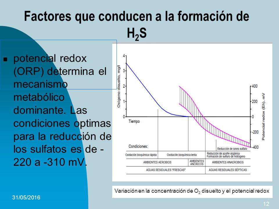 Factores que conducen a la formación de H2S