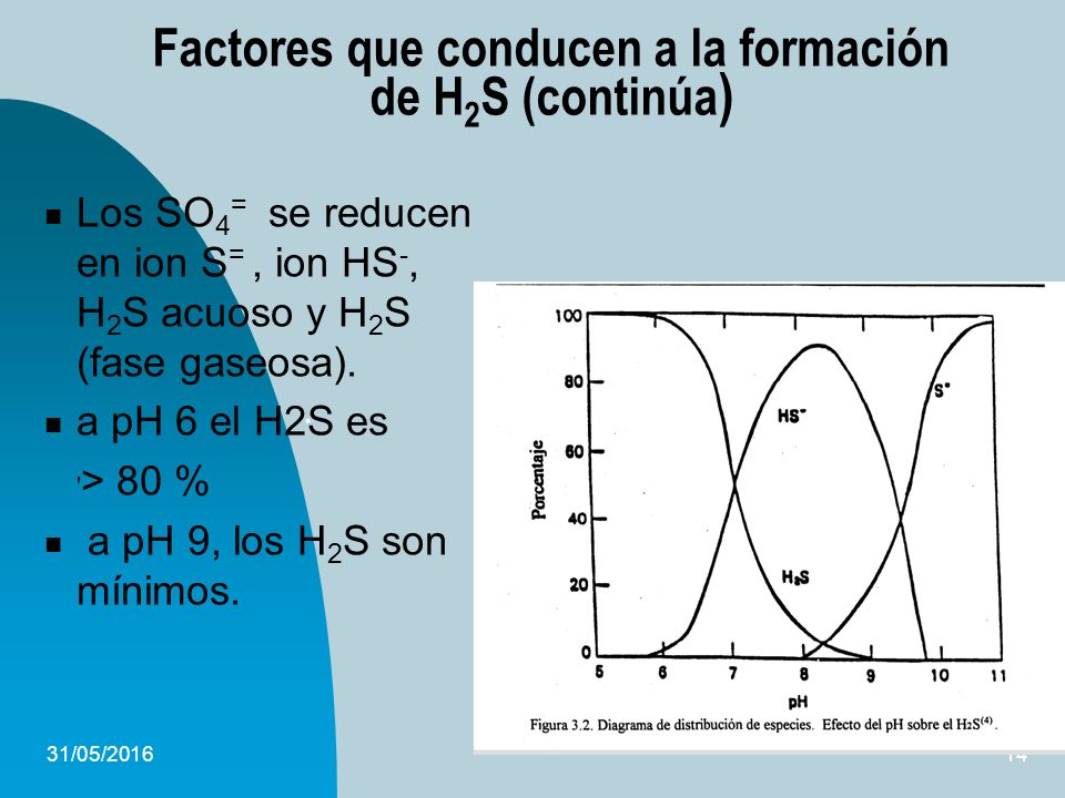 Factores que conducen a la formación de H2S (continúa)