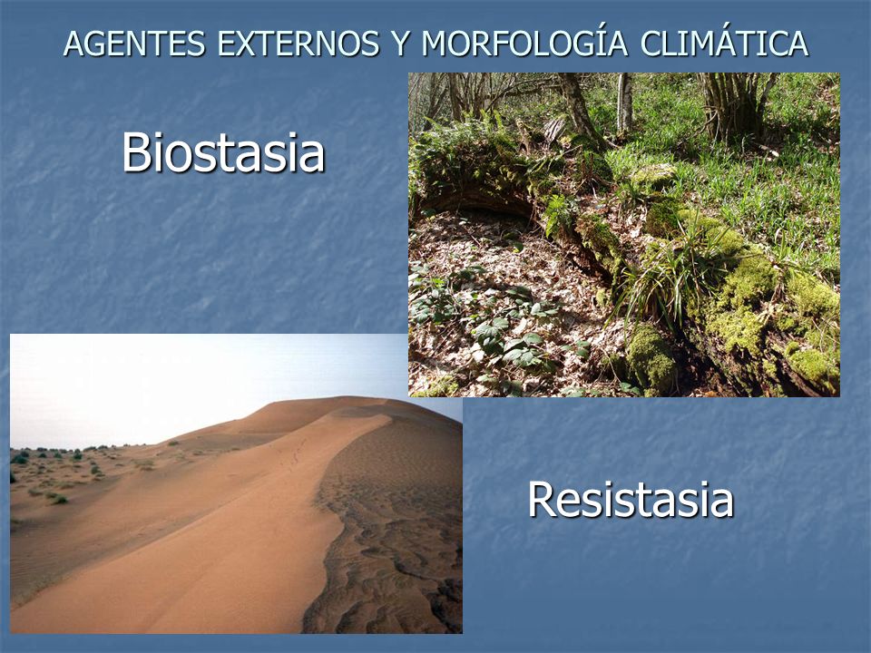 AGENTES EXTERNOS Y MORFOLOGÍA CLIMÁTICA