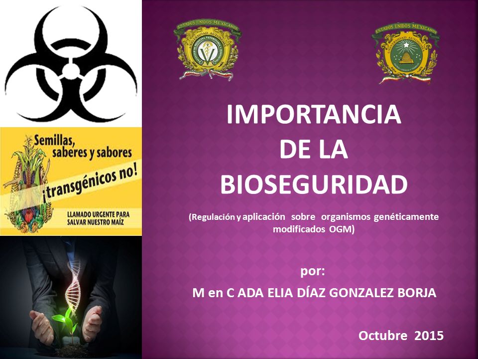 por: M en C ADA ELIA DÍAZ GONZALEZ BORJA Octubre 2015