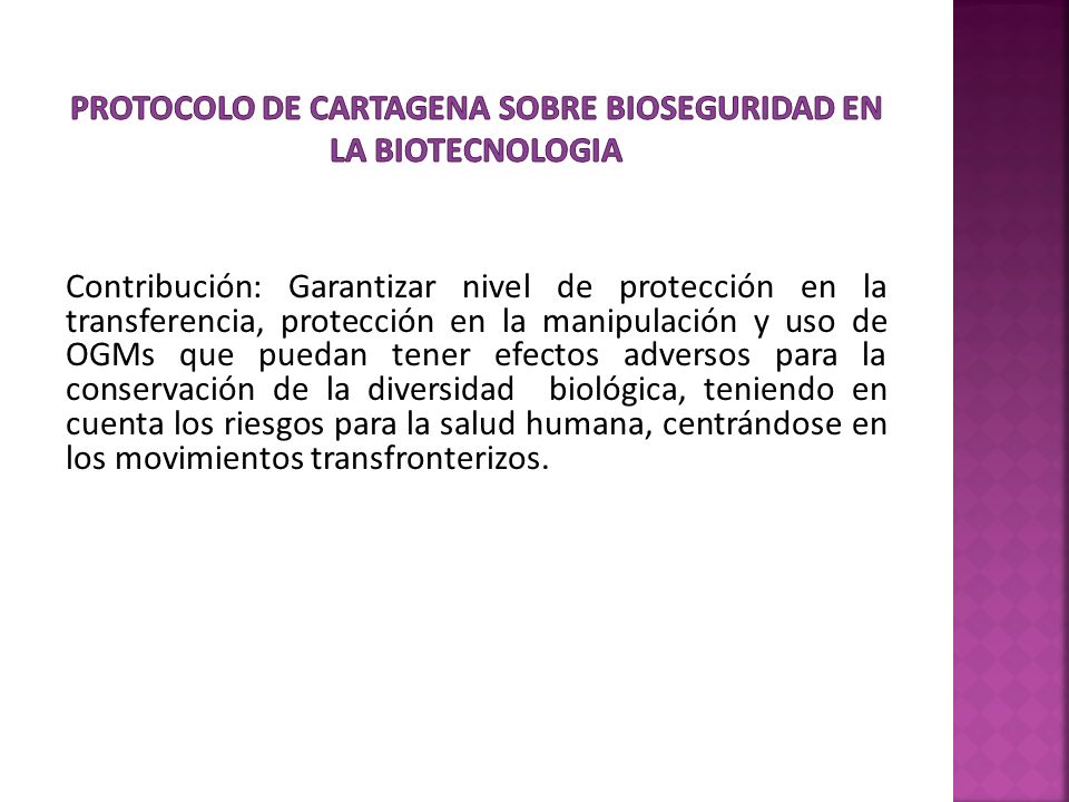 PROTOCOLO DE CARTAGENA SOBRE BIOSEGURIDAD EN LA BIOTECNOLOGIA