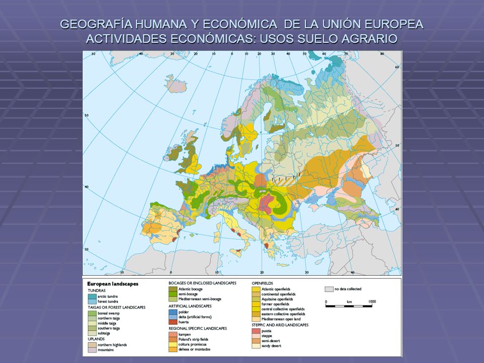 GEOGRAFÍA HUMANA Y ECONÓMICA DE LA UNIÓN EUROPEA ACTIVIDADES ECONÓMICAS: USOS SUELO AGRARIO