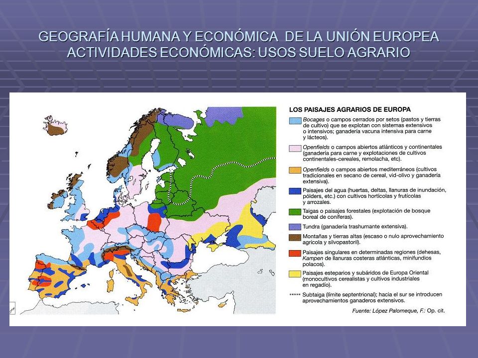 GEOGRAFÍA HUMANA Y ECONÓMICA DE LA UNIÓN EUROPEA ACTIVIDADES ECONÓMICAS: USOS SUELO AGRARIO