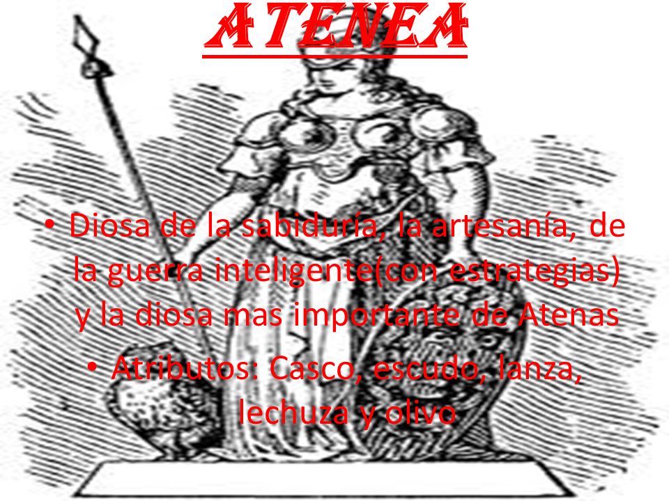Atributos: Casco, escudo, lanza, lechuza y olivo