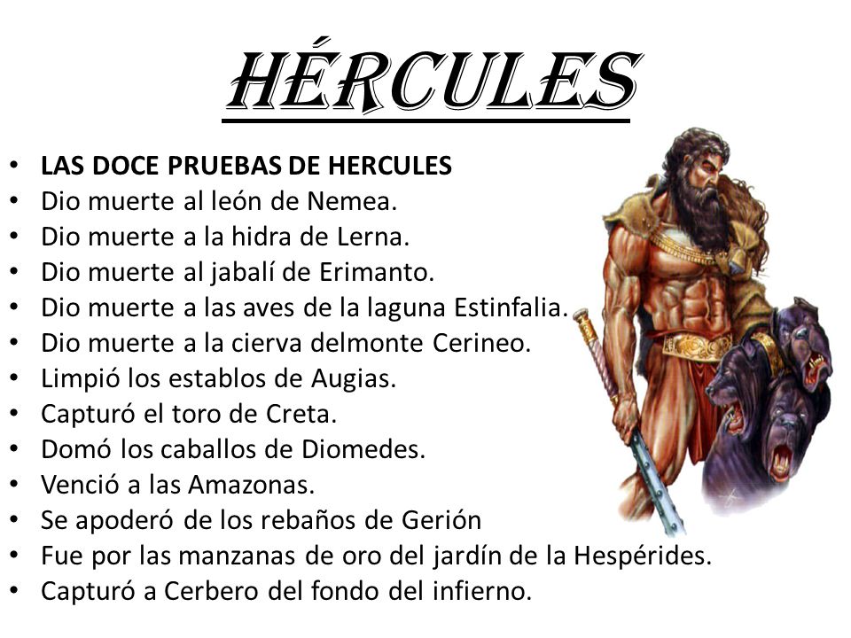 HÉRCULES LAS DOCE PRUEBAS DE HERCULES Dio muerte al león de Nemea.
