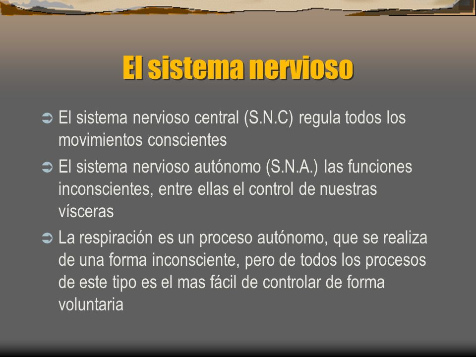 El sistema nervioso El sistema nervioso central (S.N.C) regula todos los movimientos conscientes.