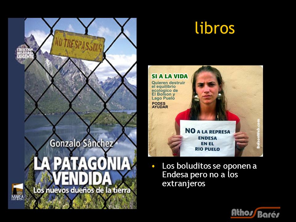 libros Los boluditos se oponen a Endesa pero no a los extranjeros