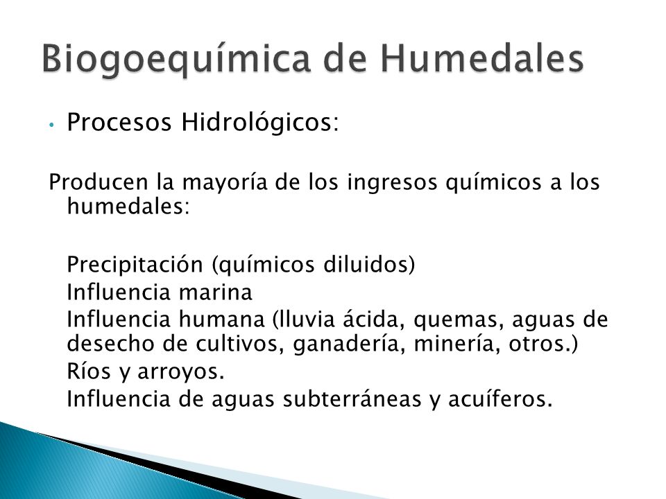 Biogoequímica de Humedales