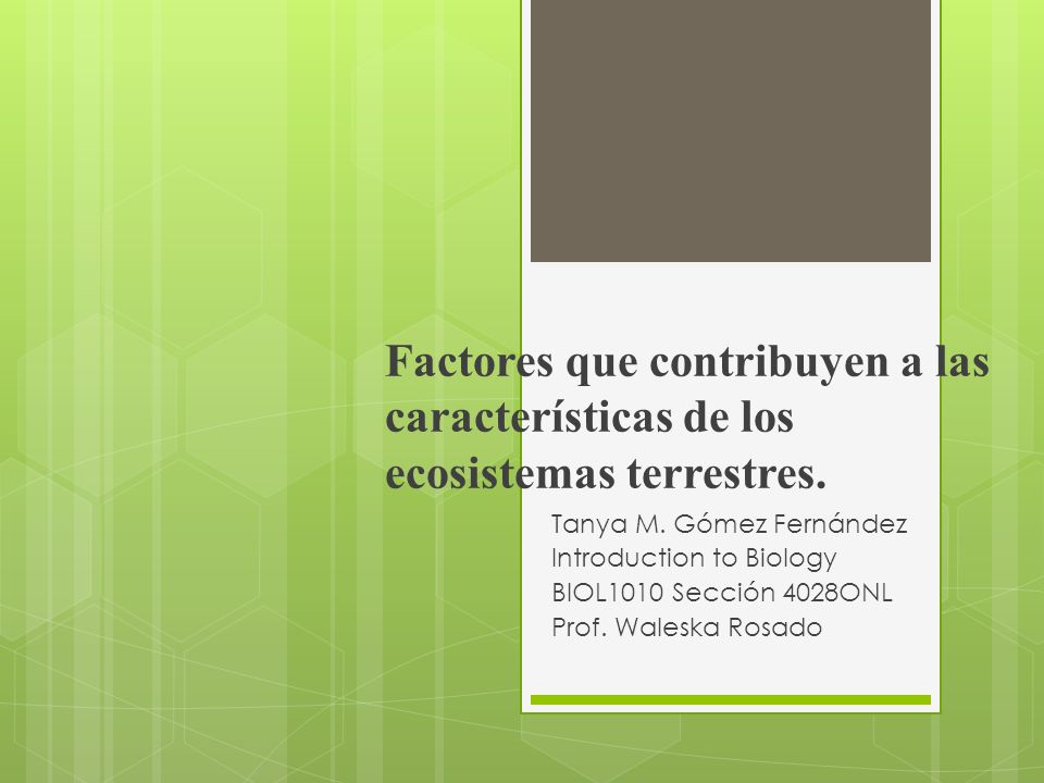 Factores que contribuyen a las características de los ecosistemas terrestres.