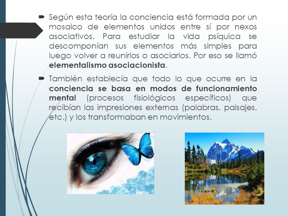 Según esta teoría la conciencia está formada por un mosaico de elementos unidos entre sí por nexos asociativos. Para estudiar la vida psíquica se descomponían sus elementos más simples para luego volver a reunirlos o asociarlos. Por eso se llamó elementalismo asociacionista.