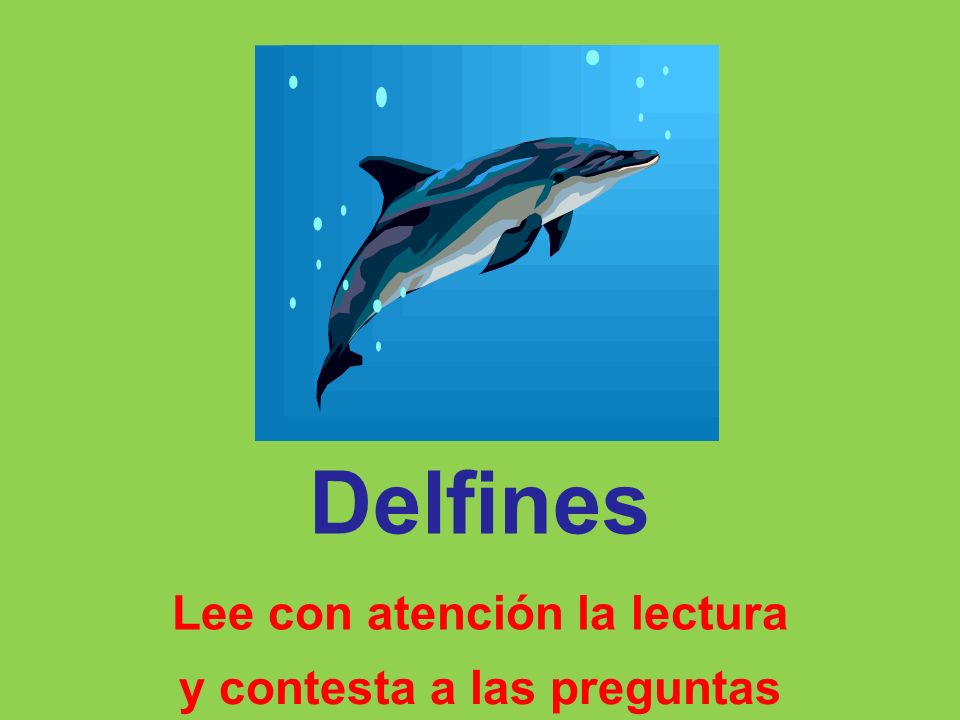 Lee con atención la lectura y contesta a las preguntas