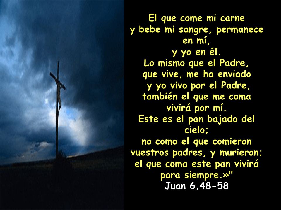 y bebe mi sangre, permanece en mí, y yo en él. Lo mismo que el Padre,