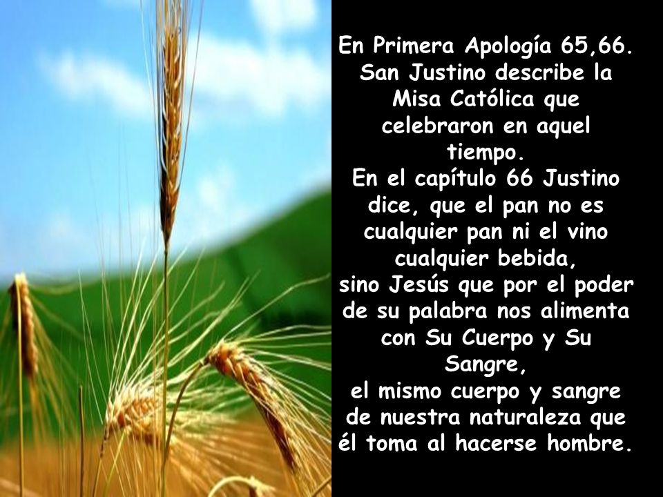San Justino describe la Misa Católica que celebraron en aquel tiempo.