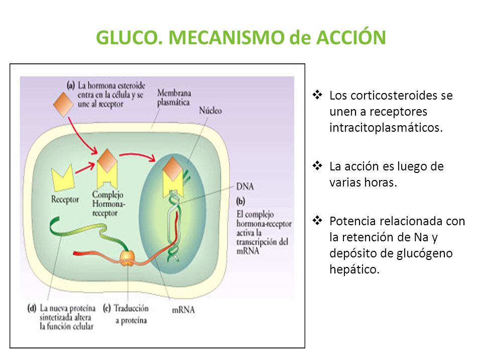 No More Mistakes With esteroides orales para masa muscular