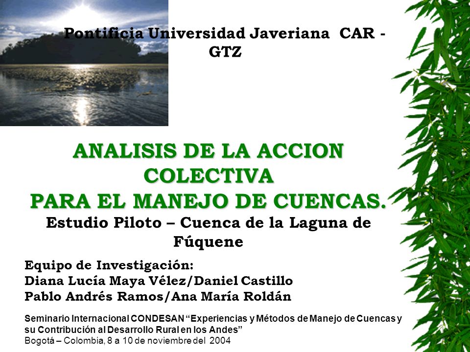 ANALISIS DE LA ACCION COLECTIVA PARA EL MANEJO DE CUENCAS.